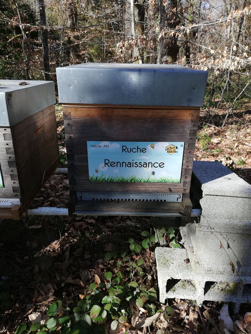 La ruche Rennaissance