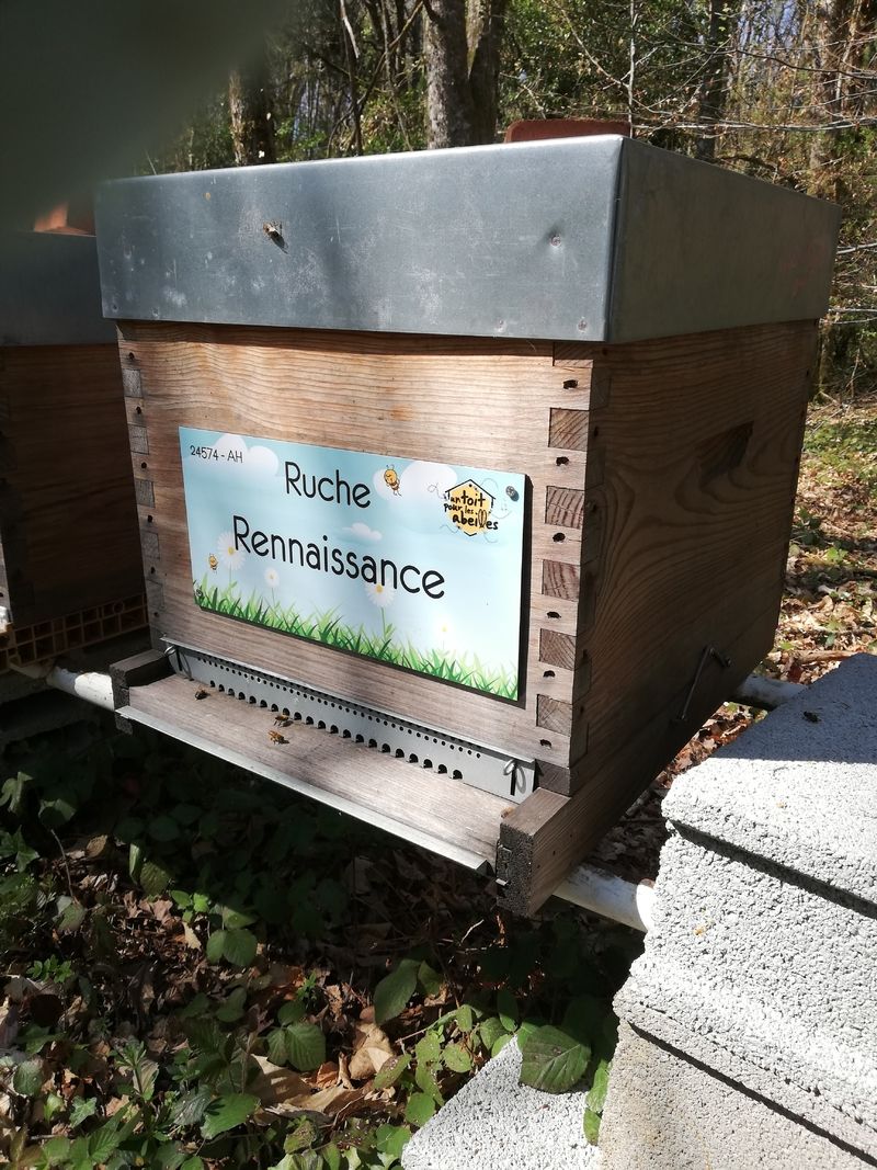 La ruche Rennaissance
