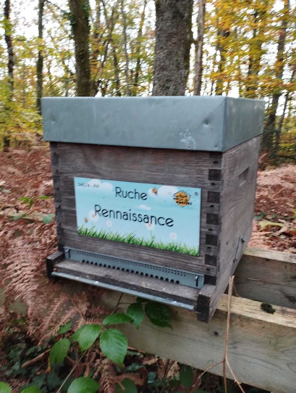 La ruche Rennaissance