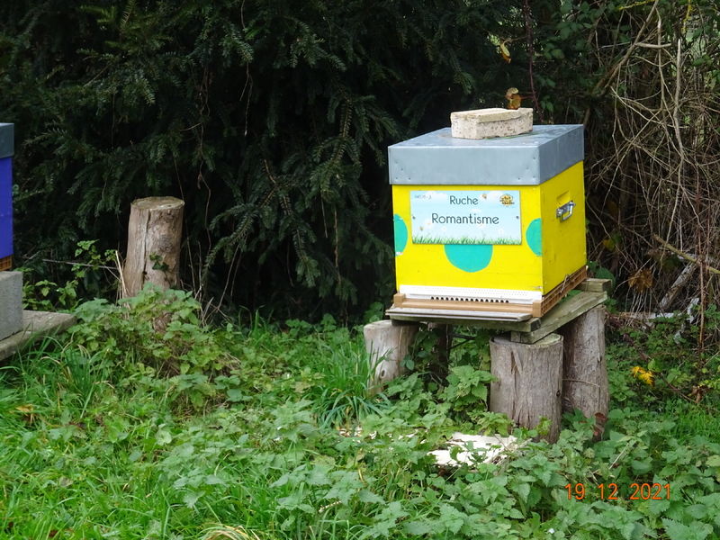 La ruche Romantisme