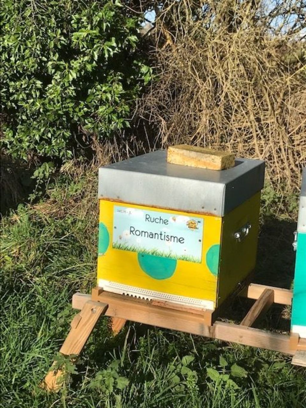 La ruche Romantisme