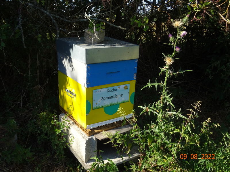 La ruche Romantisme