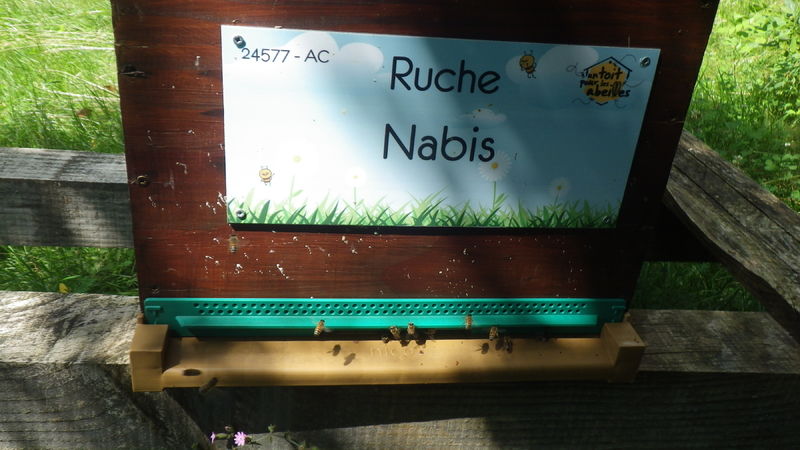 La ruche Nabis