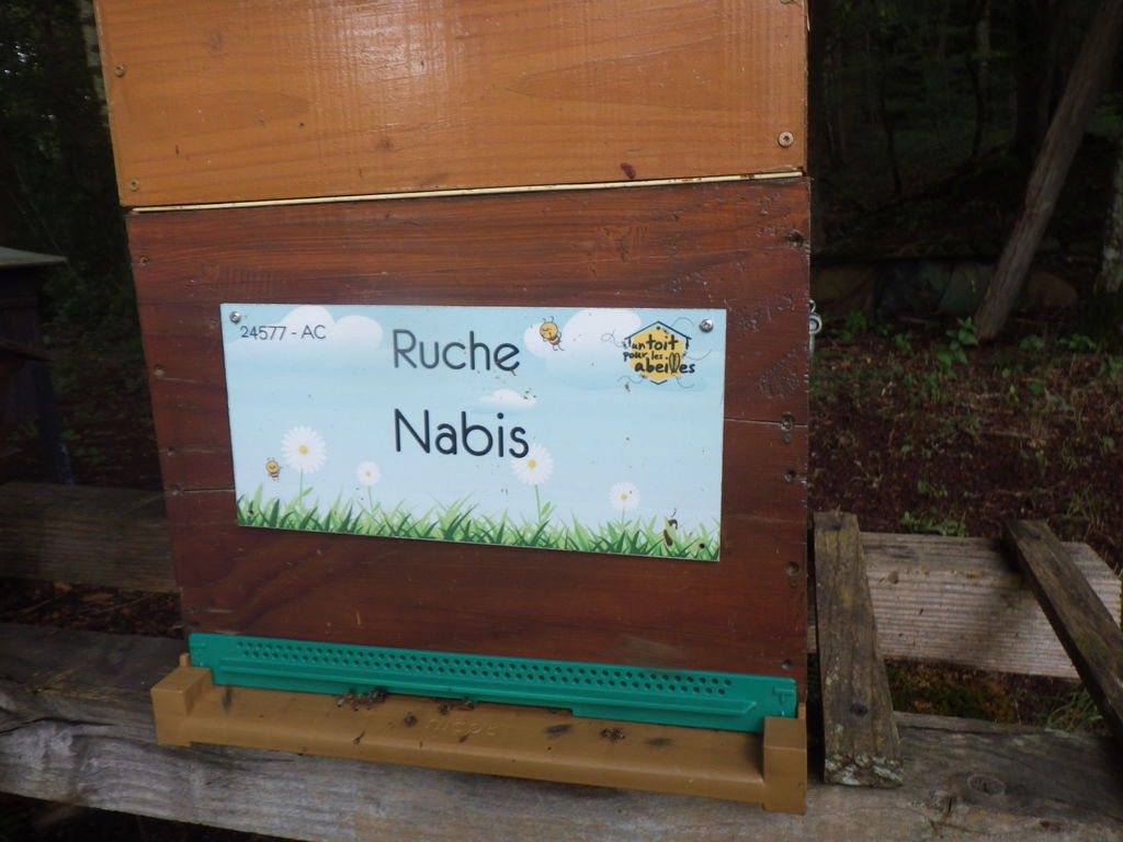 La ruche Nabis
