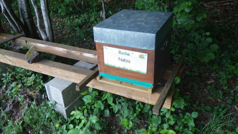 La ruche Nabis