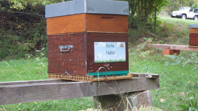 La ruche Nabis