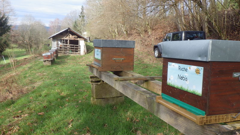 La ruche Nabis