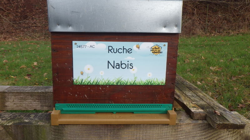 La ruche