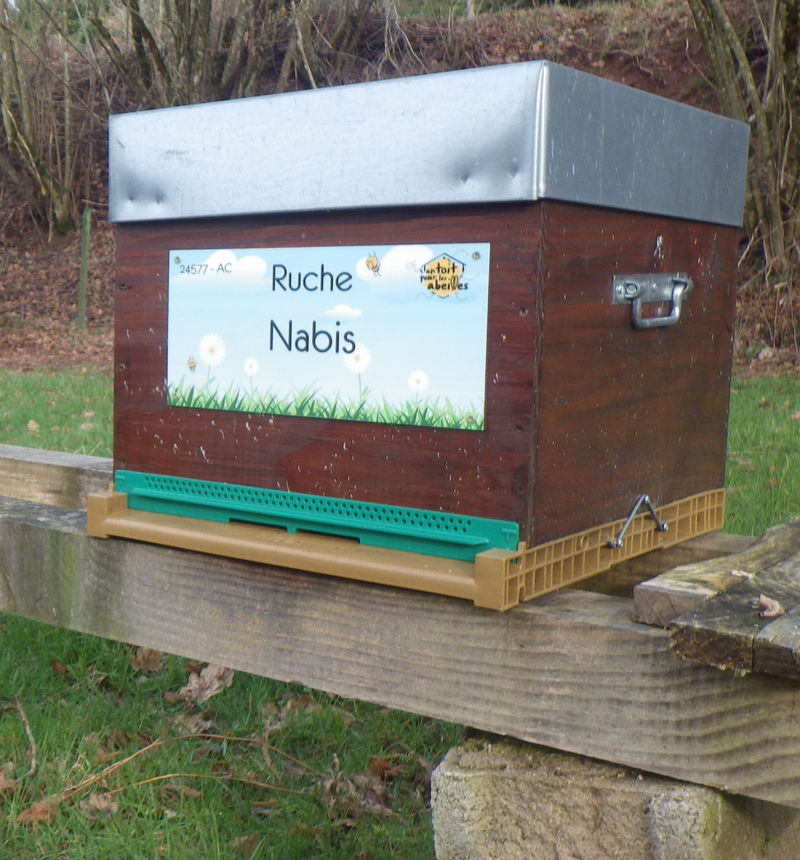 La ruche Nabis