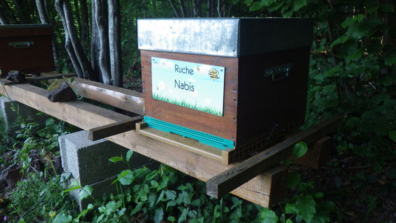 La ruche Nabis