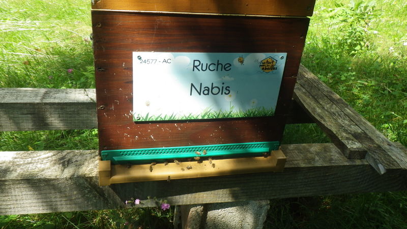 La ruche Nabis