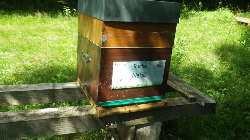 La ruche Nabis