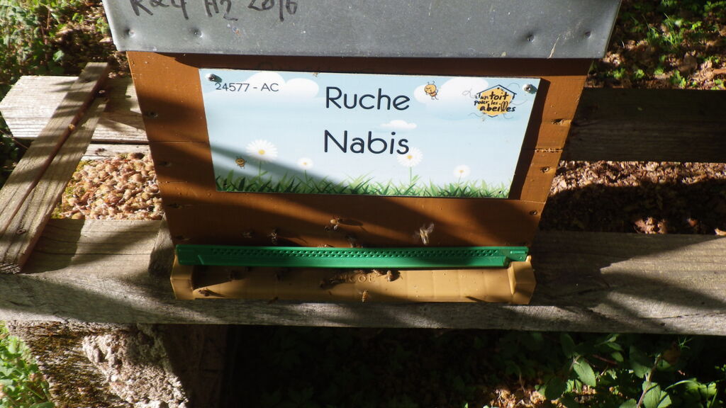 La ruche Nabis