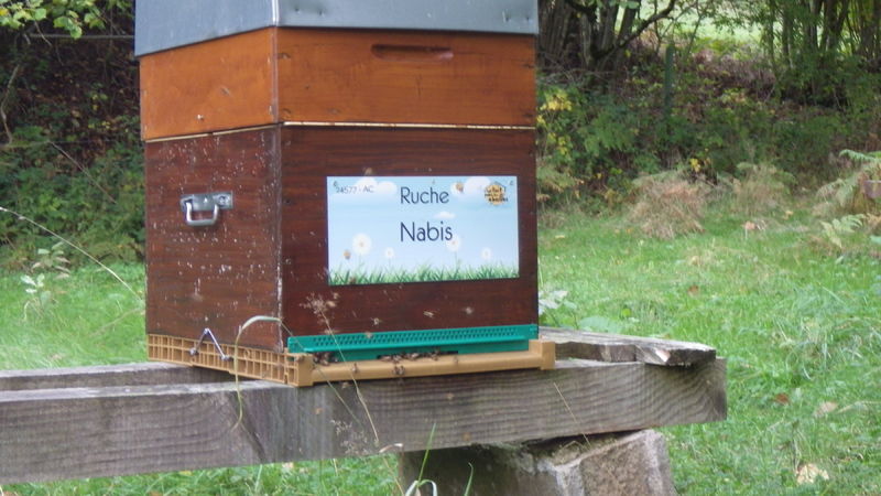 La ruche Nabis
