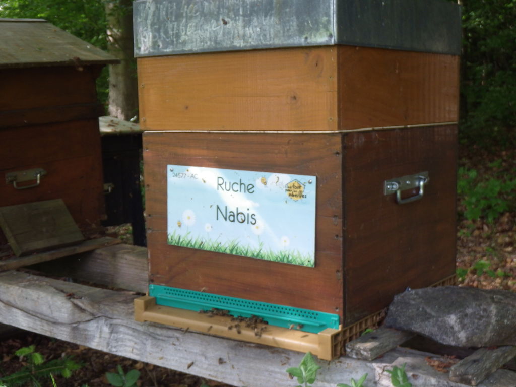 La ruche Nabis