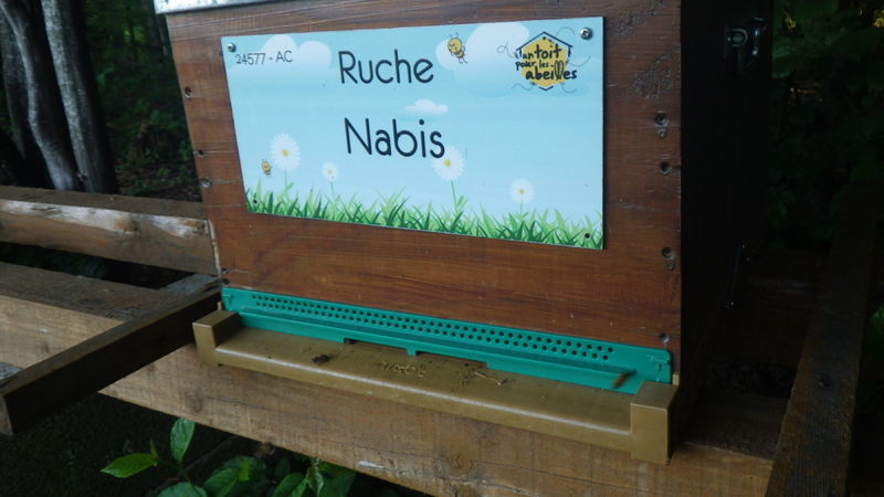La ruche Nabis