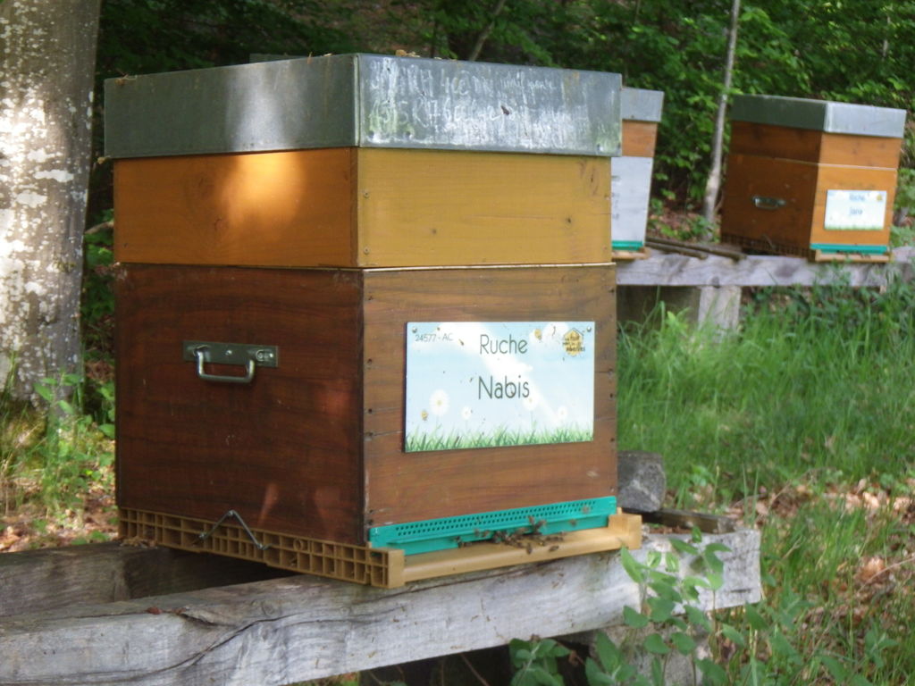La ruche Nabis
