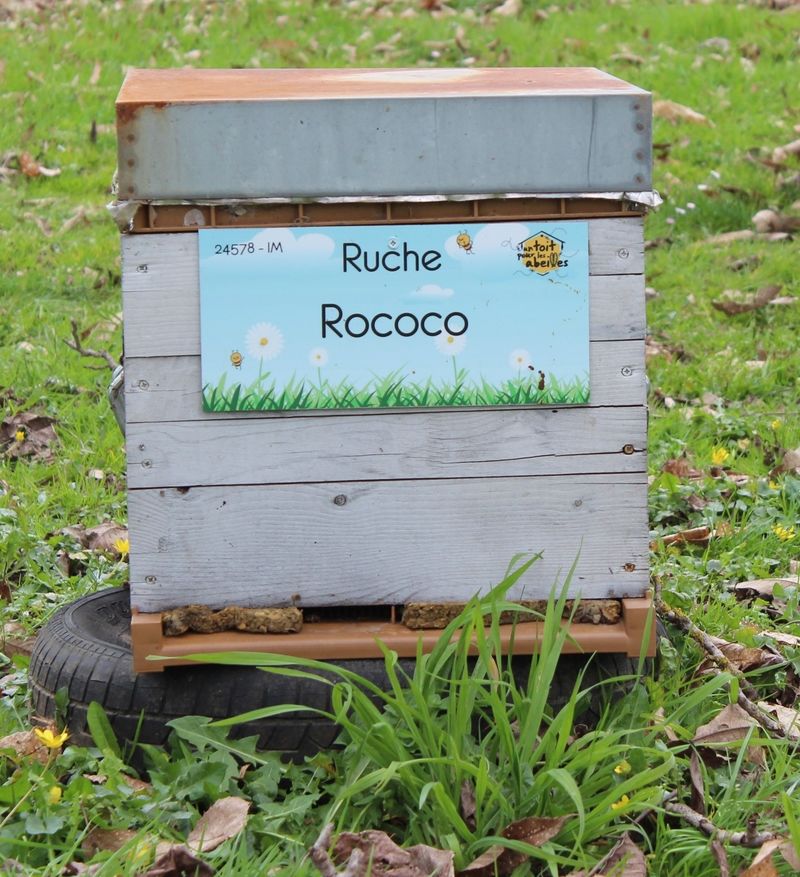 La ruche