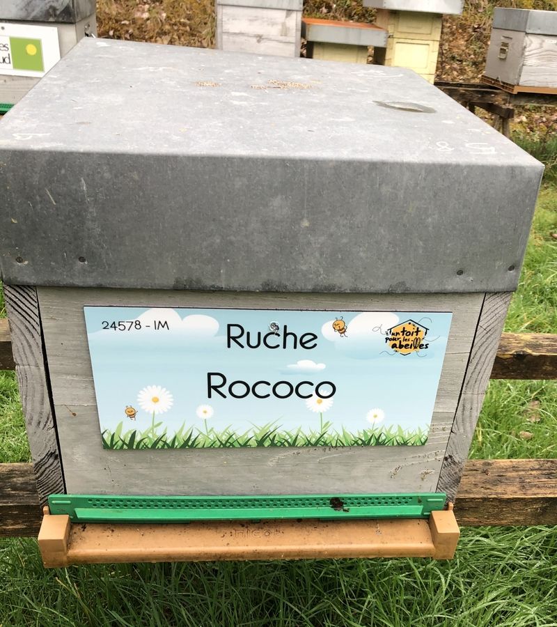 La ruche Rococo