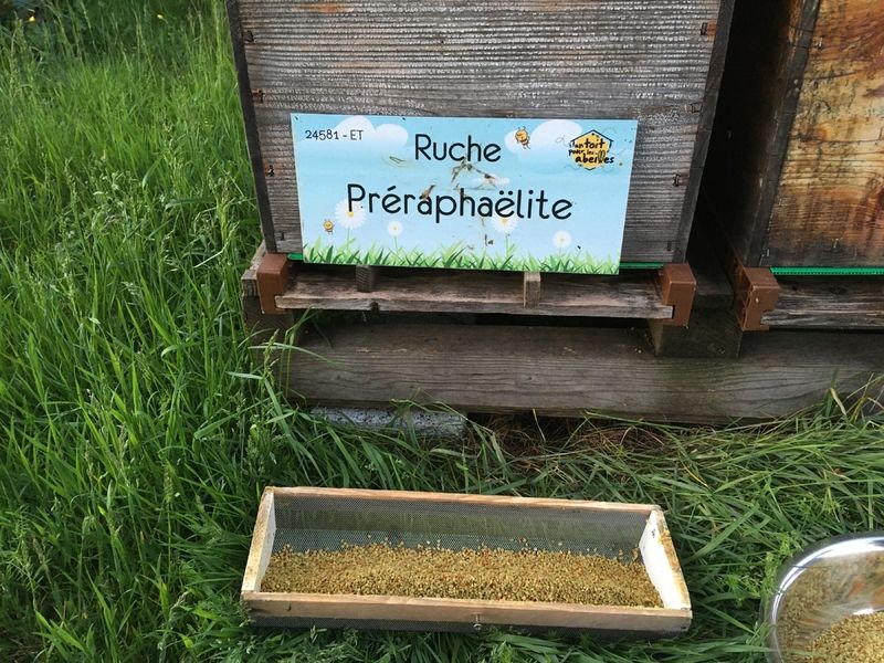 La ruche Préraphaëlite