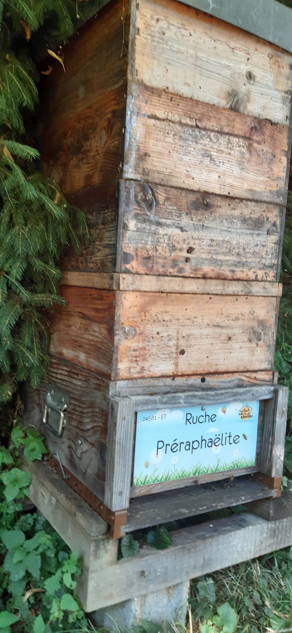 La ruche Préraphaëlite