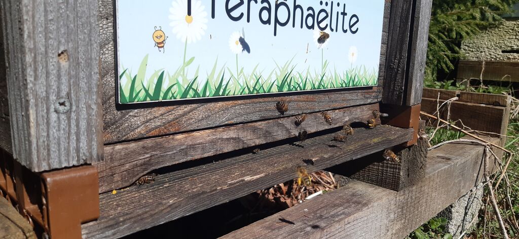 La ruche Préraphaëlite