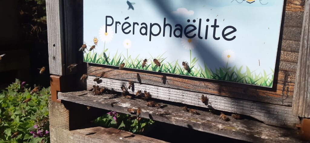 La ruche Préraphaëlite