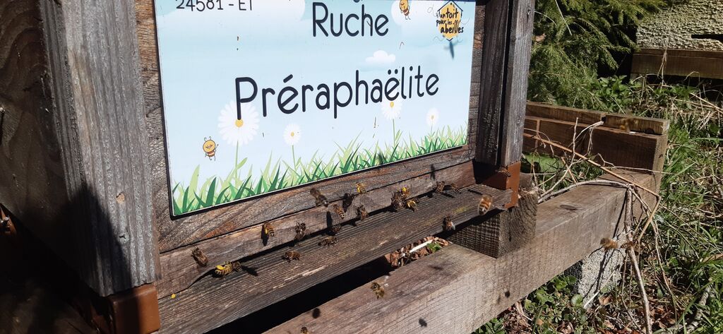 La ruche Préraphaëlite