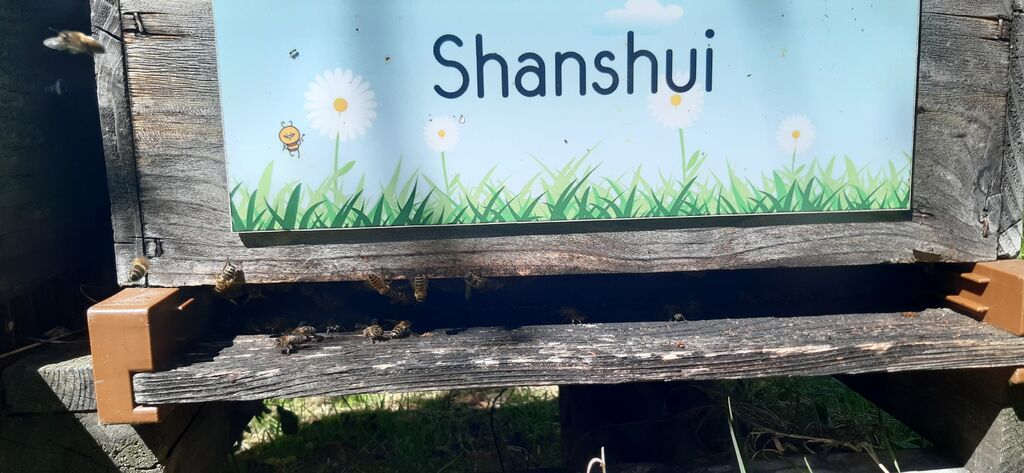 La ruche Shanshui