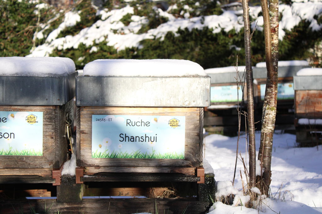 La ruche Shanshui