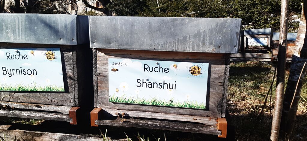 La ruche Shanshui