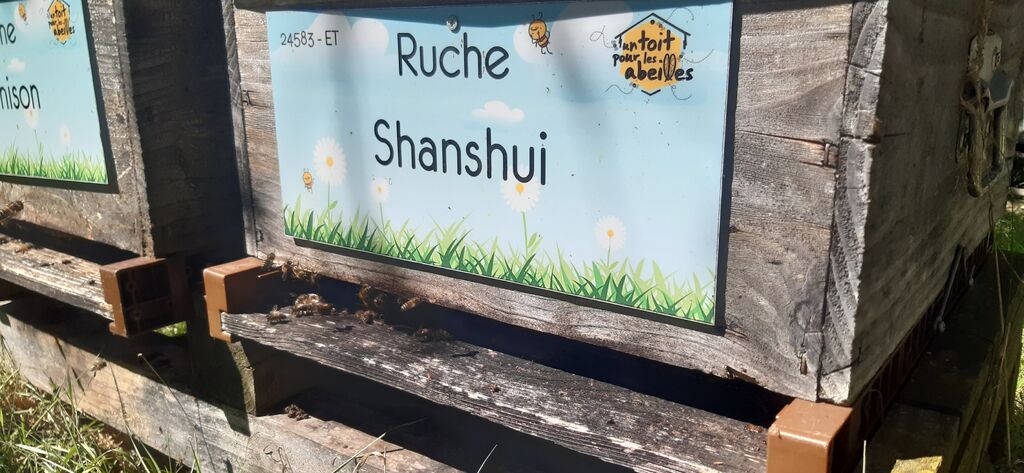 La ruche Shanshui