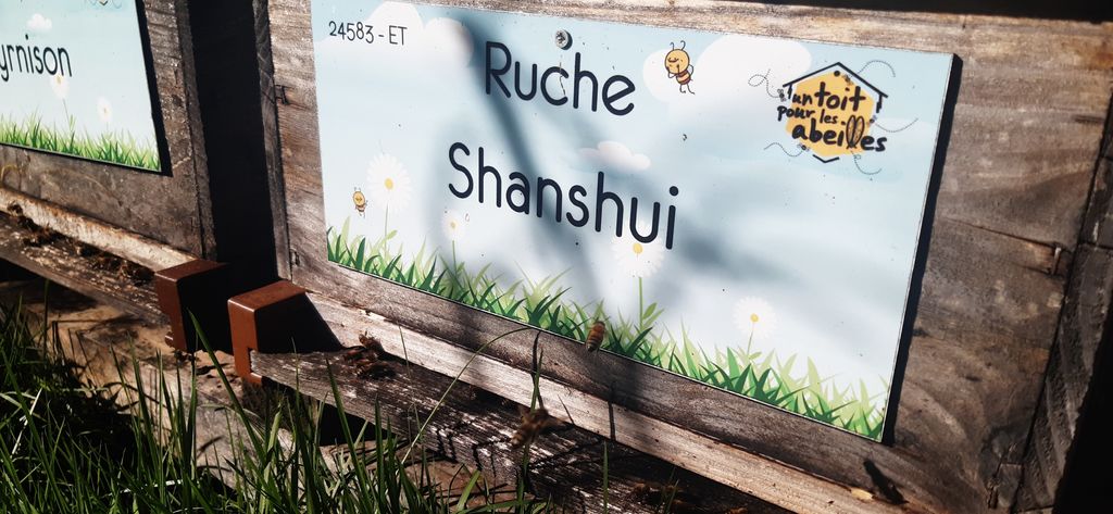 La ruche Shanshui