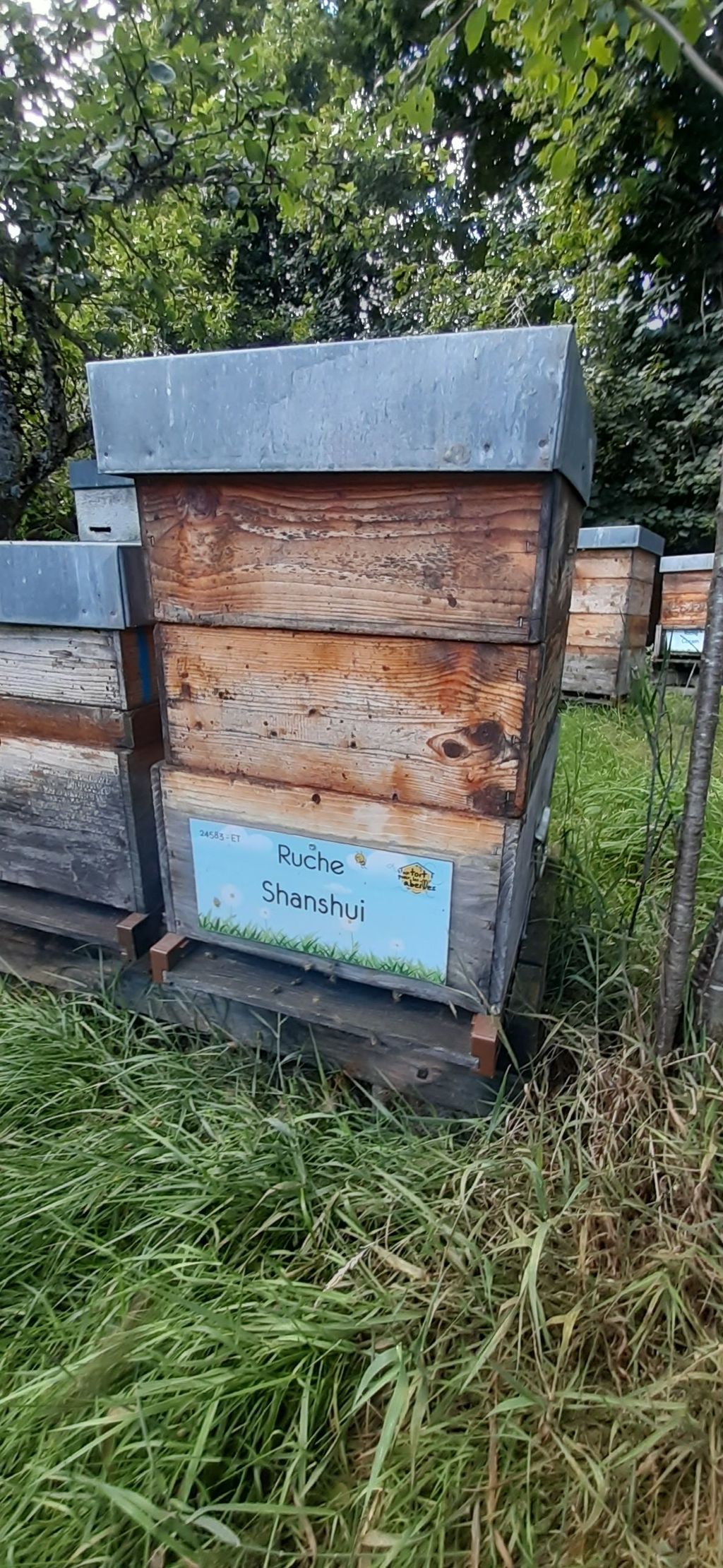 La ruche Shanshui