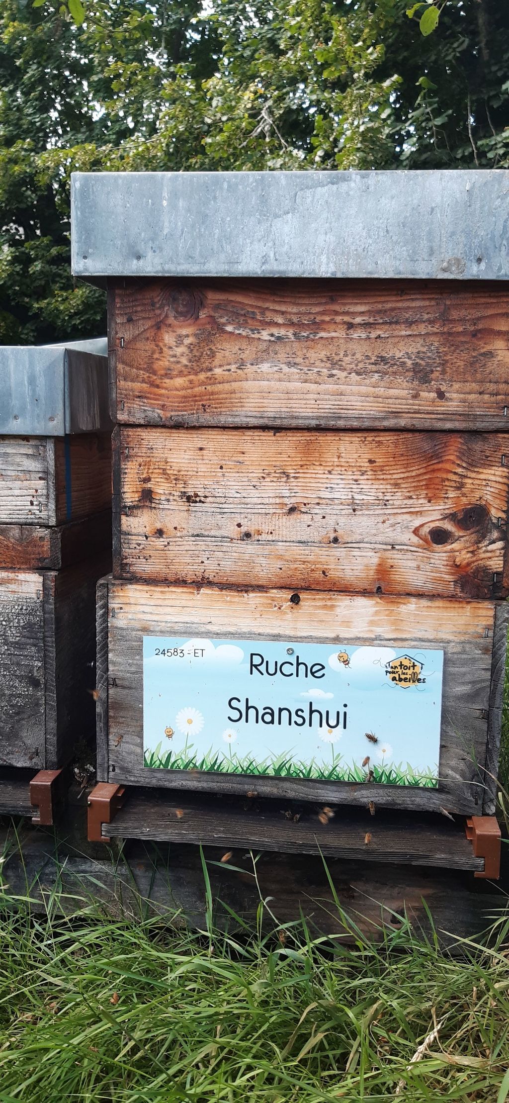 La ruche Shanshui