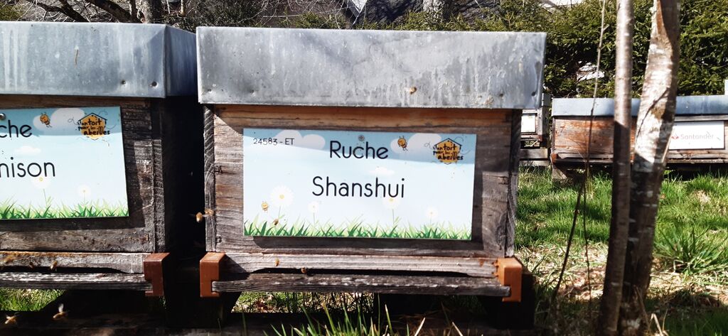 La ruche Shanshui