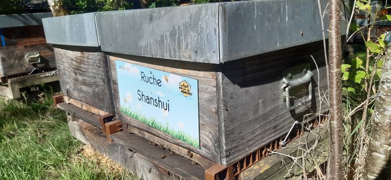 La ruche Shanshui