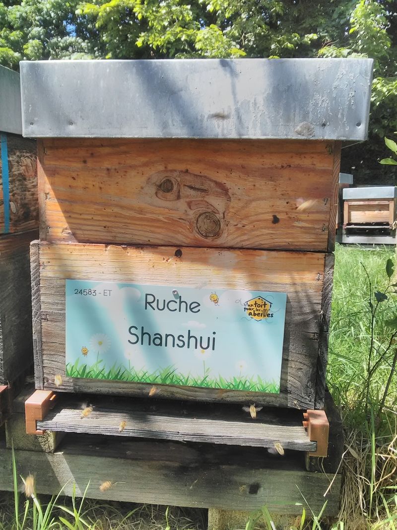 La ruche Shanshui