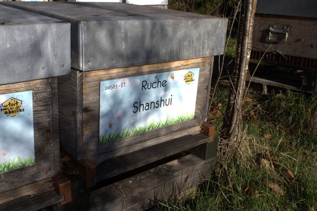 La ruche Shanshui