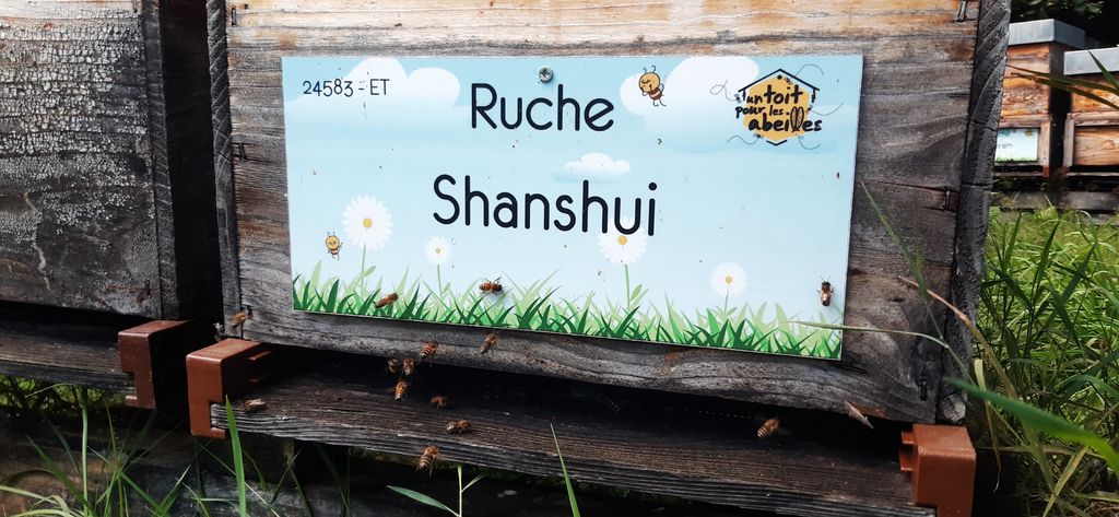 La ruche Shanshui