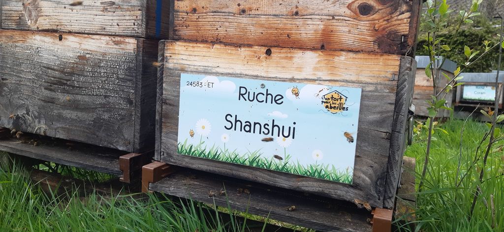 La ruche Shanshui