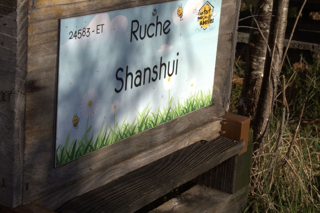 La ruche Shanshui