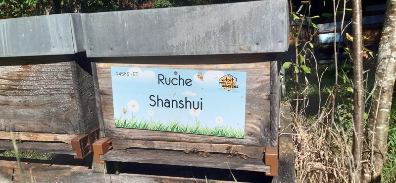 La ruche Shanshui