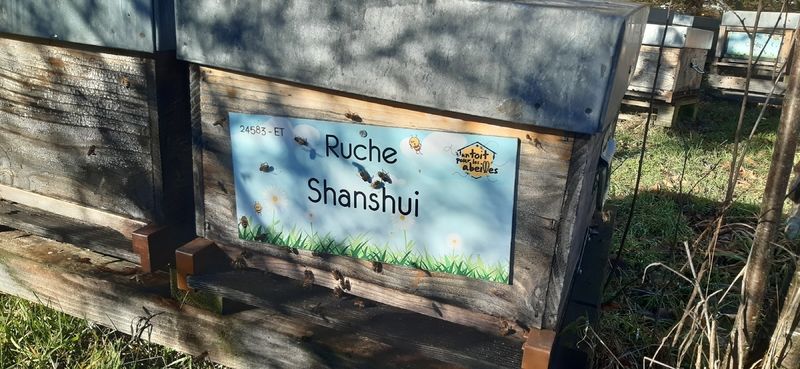 La ruche Shanshui