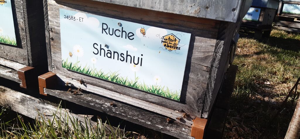 La ruche Shanshui
