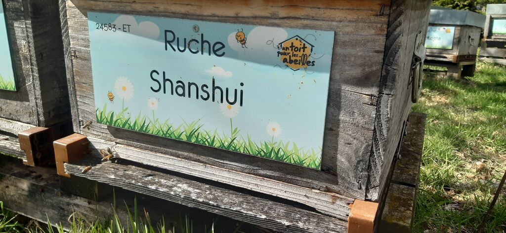 La ruche Shanshui