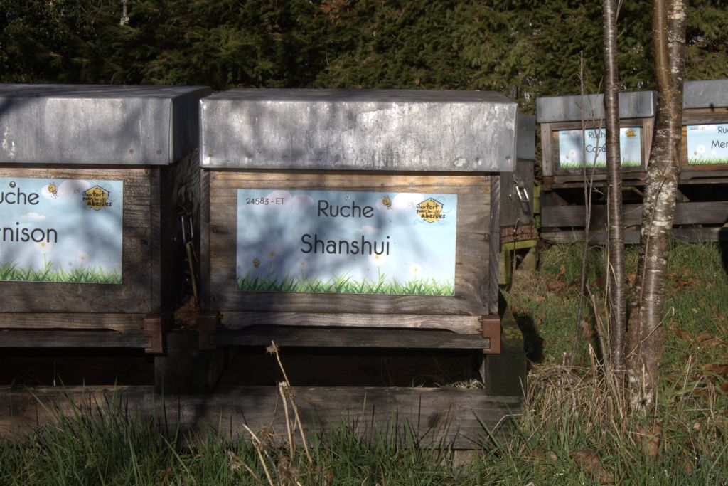 La ruche Shanshui