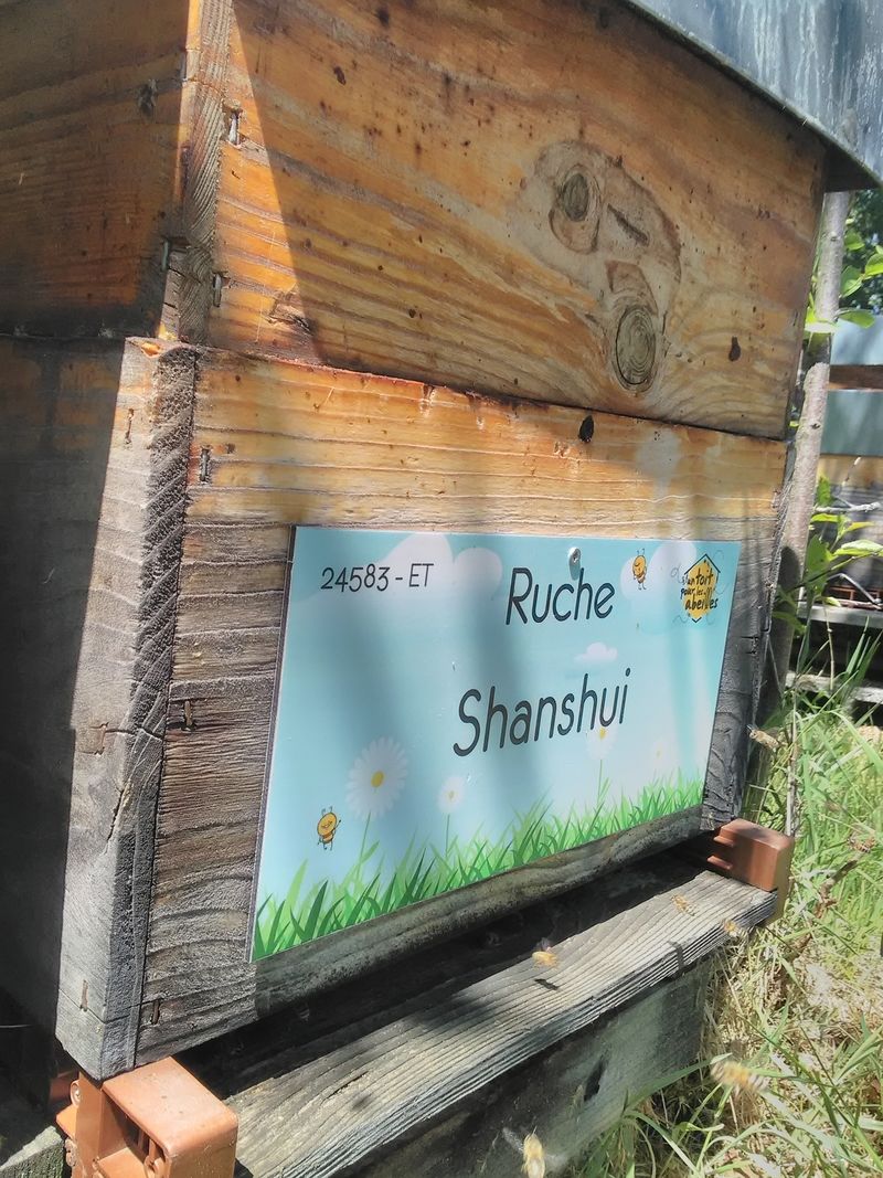La ruche Shanshui