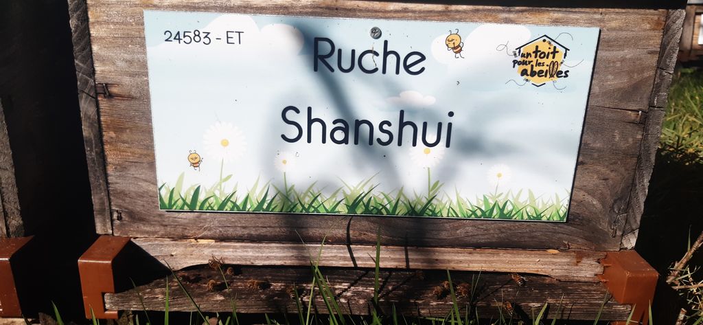 La ruche Shanshui