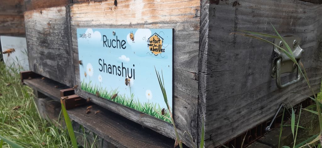 La ruche Shanshui